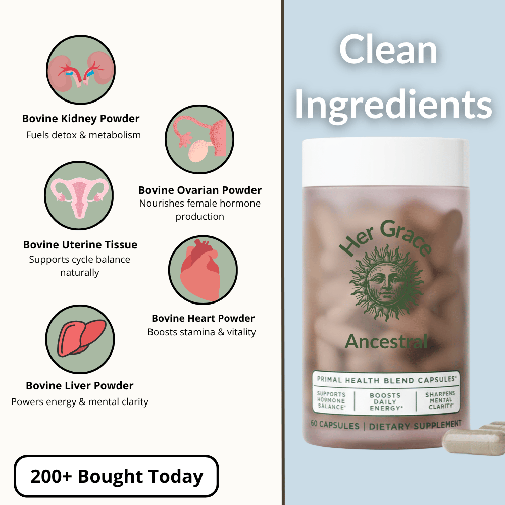 Ancestral Hormone Support – Primal Organ Blend
